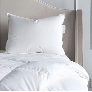 Ambrose Onorio Luxury Hypoallergenic